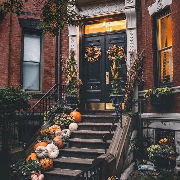 Meet your Posher, Carey - Picture 1 of 1